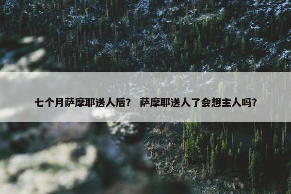 七个月萨摩耶送人后？ 萨摩耶送人了会想主人吗？