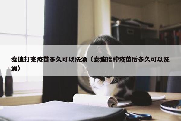 泰迪打完疫苗多久可以洗澡（泰迪接种疫苗后多久可以洗澡）