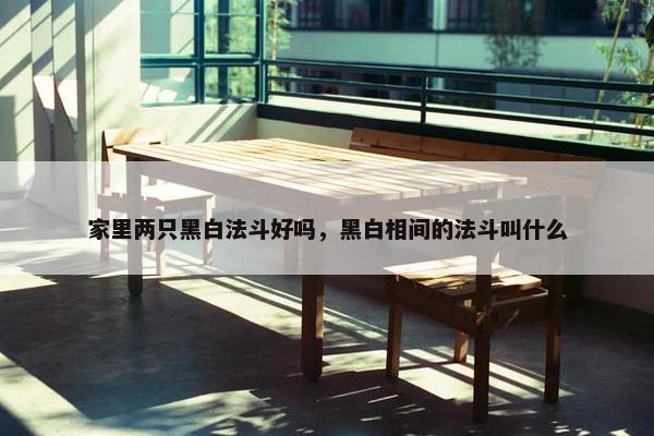 家里两只黑白法斗好吗，黑白相间的法斗叫什么