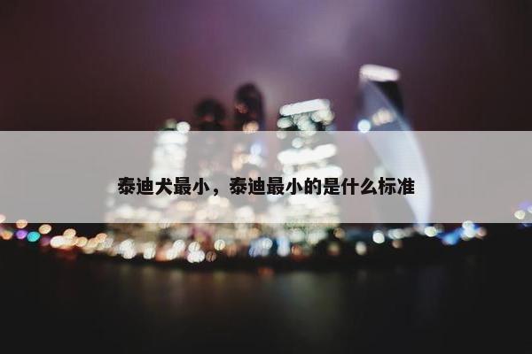 泰迪犬最小，泰迪最小的是什么标准