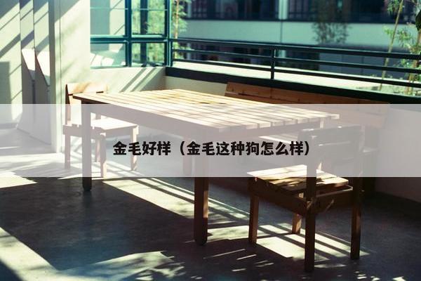 金毛好样（金毛这种狗怎么样）