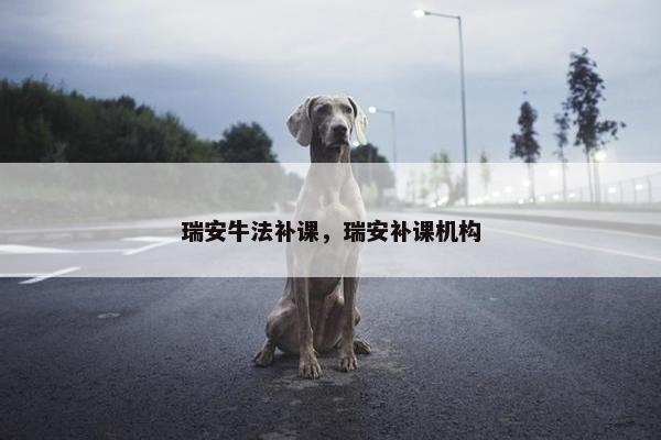 瑞安牛法补课，瑞安补课机构