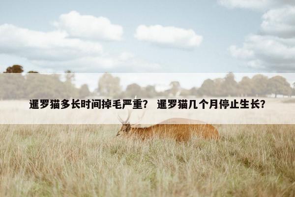 暹罗猫多长时间掉毛严重？ 暹罗猫几个月停止生长？