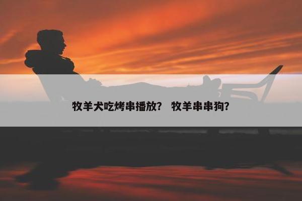 牧羊犬吃烤串播放？ 牧羊串串狗？