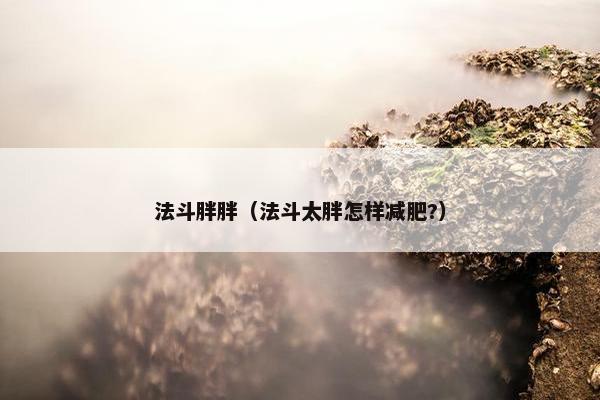 法斗胖胖（法斗太胖怎样减肥?）