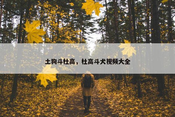 土狗斗杜高，杜高斗犬视频大全