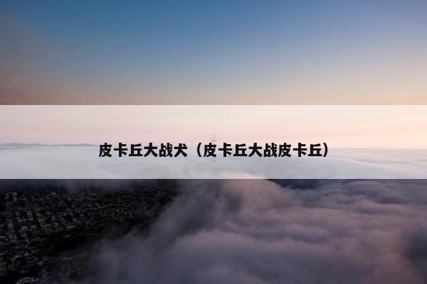 皮卡丘大战犬（皮卡丘大战皮卡丘）