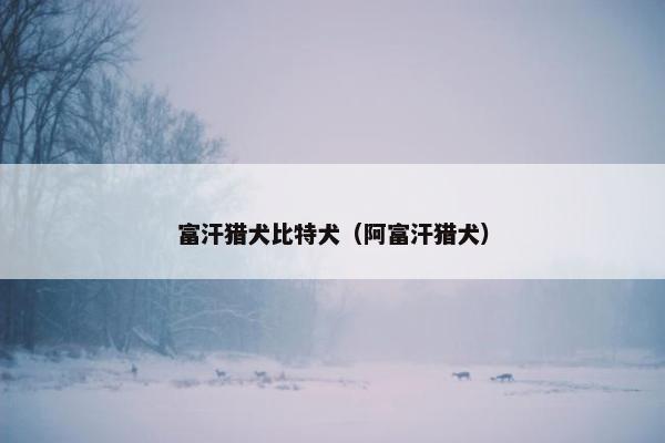 富汗猎犬比特犬（阿富汗猎犬）
