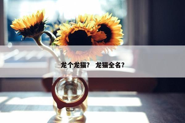 龙个龙猫？ 龙猫全名？