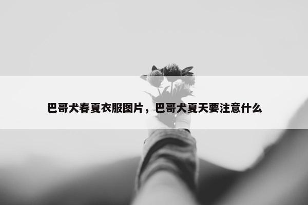 巴哥犬春夏衣服图片，巴哥犬夏天要注意什么