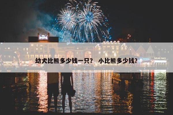 幼犬比熊多少钱一只？ 小比熊多少钱？