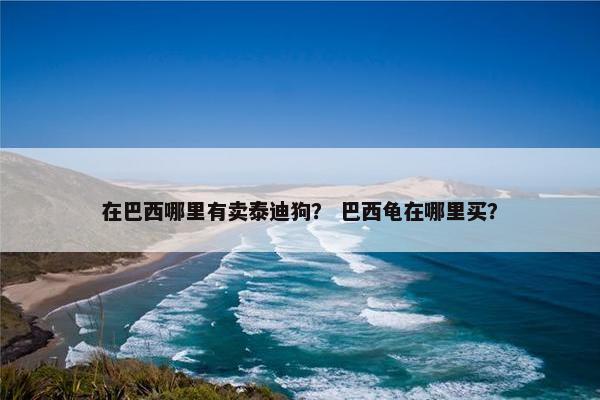 在巴西哪里有卖泰迪狗？ 巴西龟在哪里买？