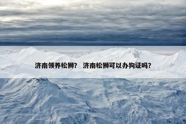 济南领养松狮？ 济南松狮可以办狗证吗？