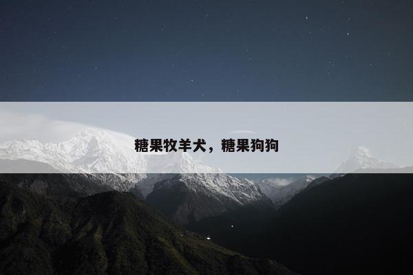 糖果牧羊犬，糖果狗狗
