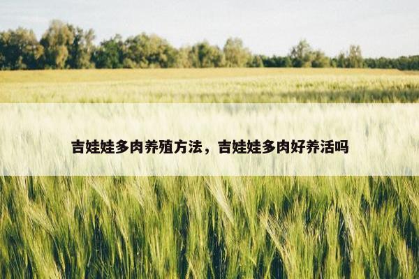 吉娃娃多肉养殖方法，吉娃娃多肉好养活吗