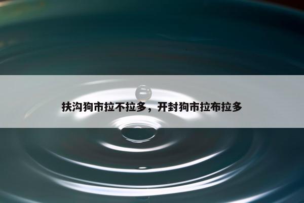 扶沟狗市拉不拉多，开封狗市拉布拉多