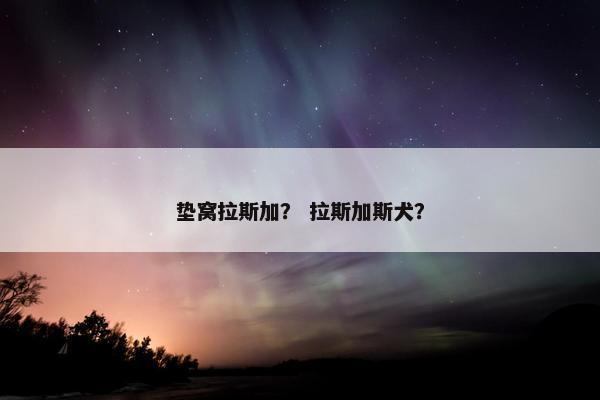 垫窝拉斯加？ 拉斯加斯犬？