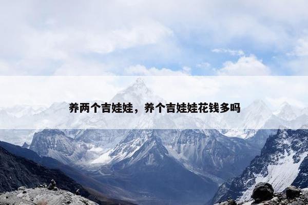 养两个吉娃娃，养个吉娃娃花钱多吗