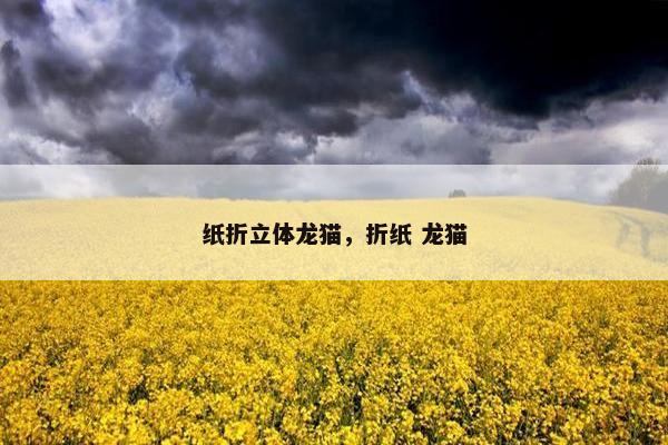 纸折立体龙猫，折纸 龙猫