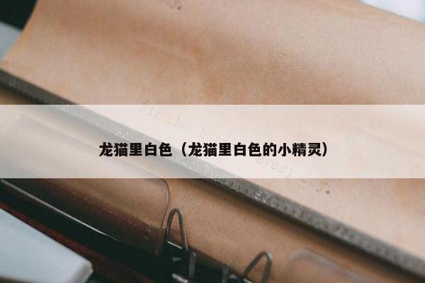 龙猫里白色（龙猫里白色的小精灵）