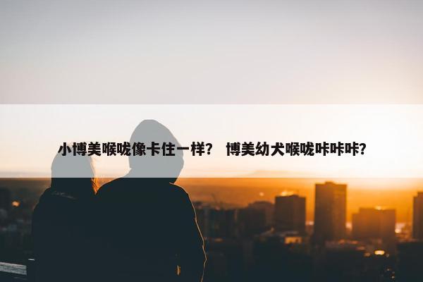 小博美喉咙像卡住一样？ 博美幼犬喉咙咔咔咔？