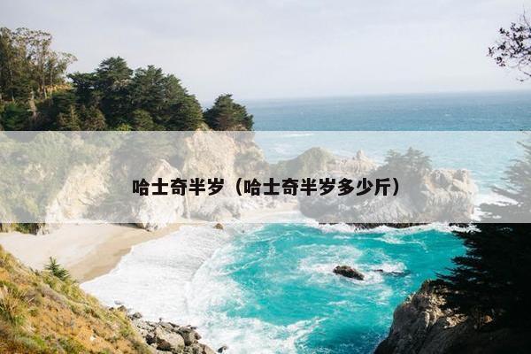 哈士奇半岁（哈士奇半岁多少斤）
