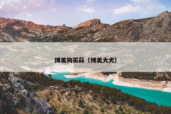 博美狗买蒜（博美大犬）