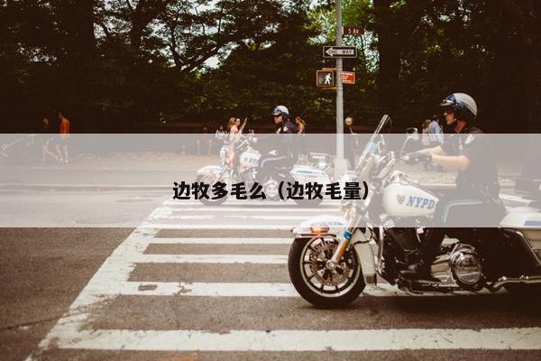 边牧多毛么（边牧毛量）
