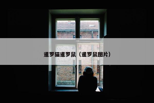 暹罗猫暹罗鼠（暹罗鼠图片）