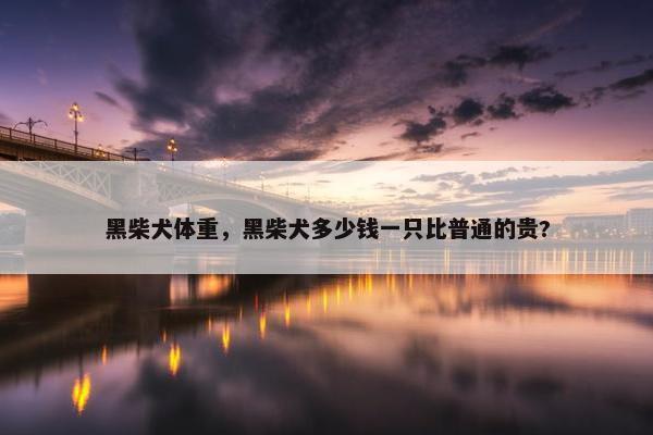 黑柴犬体重，黑柴犬多少钱一只比普通的贵?