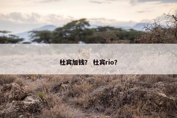 杜宾加钱？ 杜宾rio？