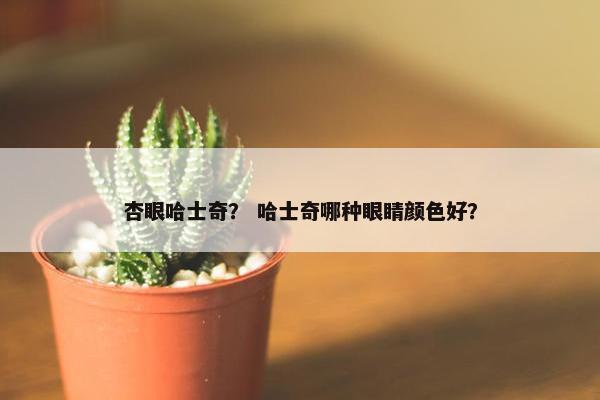 杏眼哈士奇？ 哈士奇哪种眼睛颜色好？