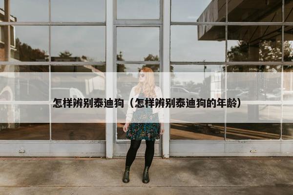 怎样辨别泰迪狗（怎样辨别泰迪狗的年龄）