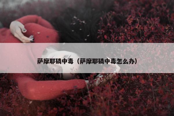 萨摩耶磷中毒（萨摩耶磷中毒怎么办）
