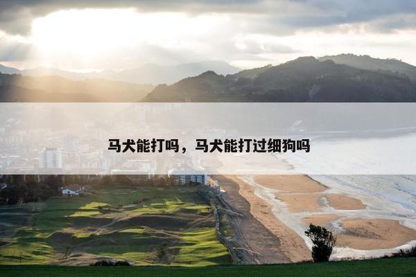 马犬能打吗，马犬能打过细狗吗