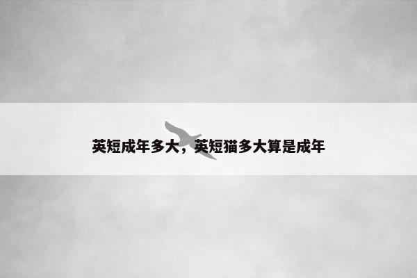 英短成年多大，英短猫多大算是成年