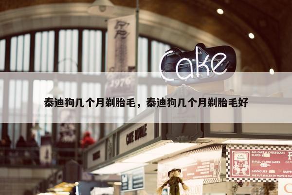 泰迪狗几个月剃胎毛，泰迪狗几个月剃胎毛好