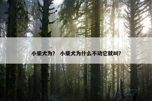 小柴犬为？ 小柴犬为什么不动它就叫？