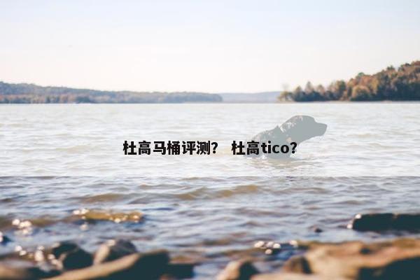 杜高马桶评测？ 杜高tico？