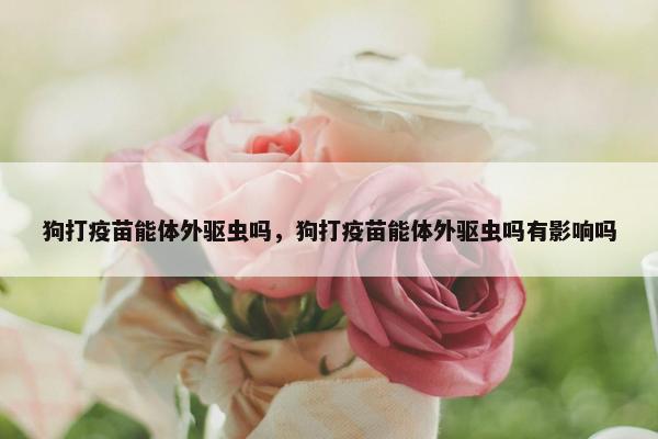 狗打疫苗能体外驱虫吗，狗打疫苗能体外驱虫吗有影响吗
