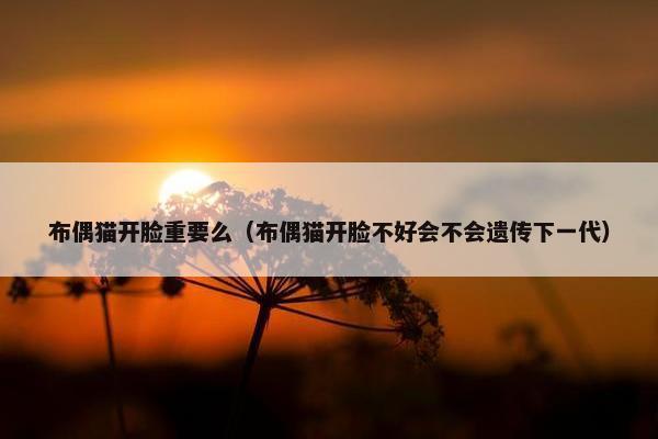 布偶猫开脸重要么（布偶猫开脸不好会不会遗传下一代）