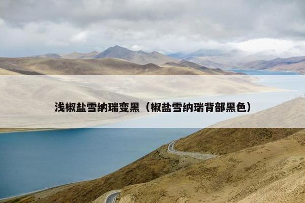 浅椒盐雪纳瑞变黑（椒盐雪纳瑞背部黑色）