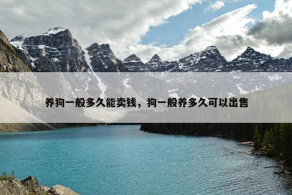 养狗一般多久能卖钱，狗一般养多久可以出售