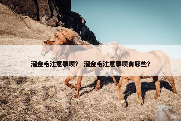 溜金毛注意事项？ 溜金毛注意事项有哪些？