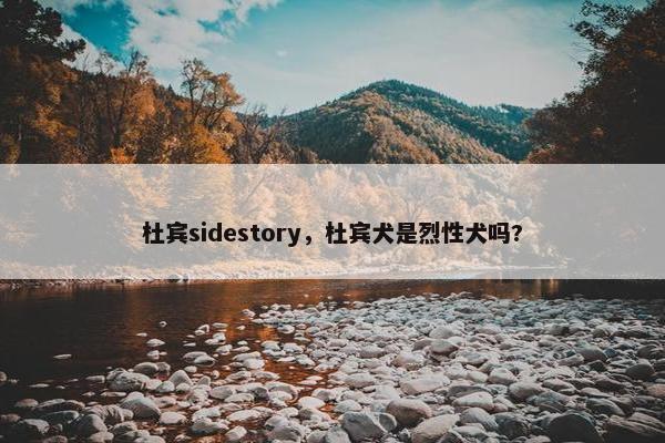 杜宾sidestory，杜宾犬是烈性犬吗?
