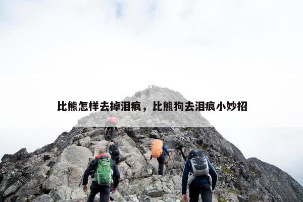 比熊怎样去掉泪痕，比熊狗去泪痕小妙招