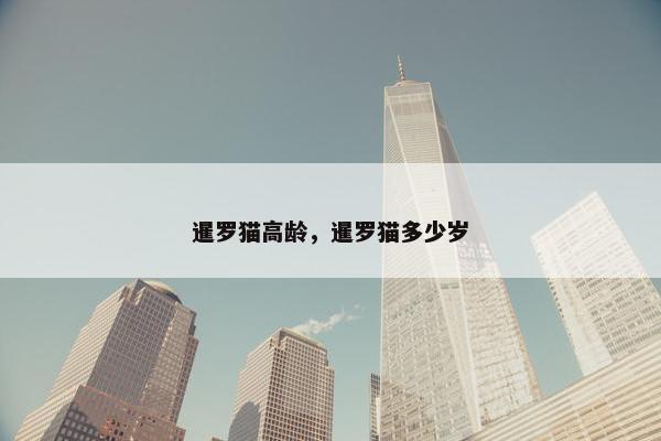 暹罗猫高龄，暹罗猫多少岁