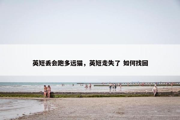 英短丢会跑多远猫，英短走失了 如何找回