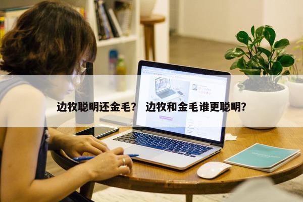 边牧聪明还金毛？ 边牧和金毛谁更聪明？
