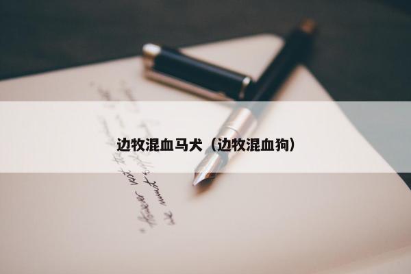 边牧混血马犬（边牧混血狗）